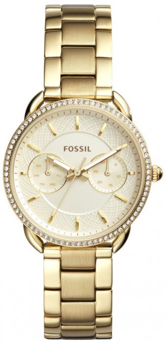 Fossil Tailor Fossil Tailor