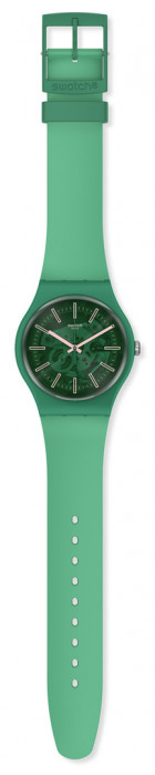 SWATCH SUNBRUSH GRASS