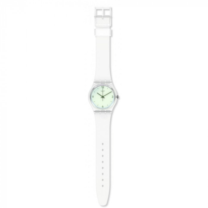 SWATCH SWAN LAKE