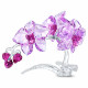 Фигурка Crystal Flowers ORCHID SWAROVSKI