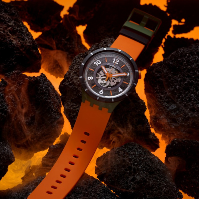SWATCH FALL-IAGE