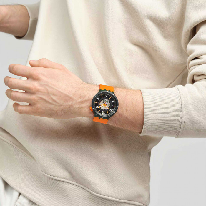 SWATCH FALL-IAGE
