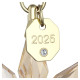 Праздничный Орнамент Годового выпуска 3D 2025 Swarovski