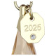Праздничный Орнамент Годового выпуска 2025 Swarovski