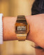 CASIO CLASSIC