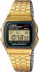 CASIO CLASSIC