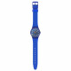 SWATCH WAVELENGTHS OF WATER PAY!