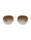 Солнцезащитные очки Ray-Ban ARISTA GRADIENT