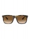 Солнцезащитные очки Ray-Ban BOYFRIEND LIGHT HAVANA