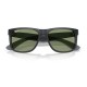 Солнцезащитные очки Ray-Ban JUSTIN