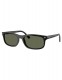 Солнцезащитные очки Ray-Ban ESSENTIALS