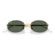 Солнцезащитные очки Ray-Ban Arista