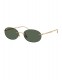 Солнцезащитные очки Ray-Ban Arista
