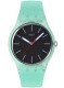 SWATCH HINT OF MINT